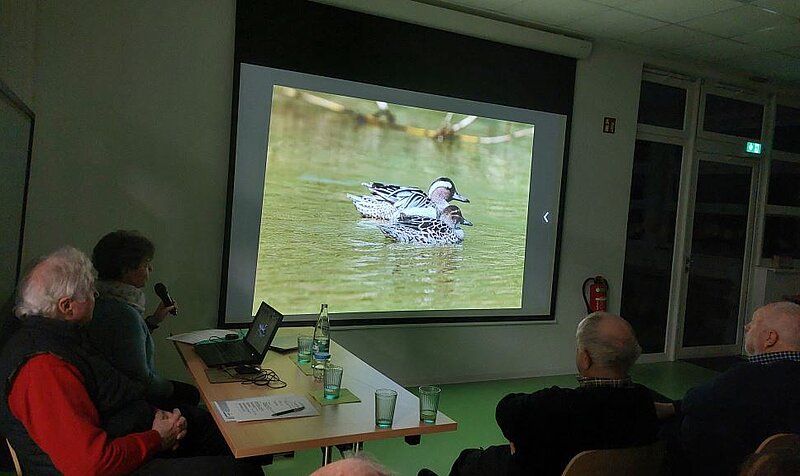 Foto: NABU Willich