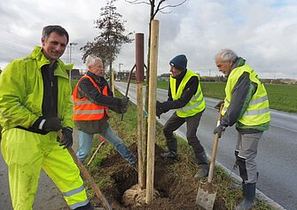 Baumpflanzaktion, Foto: NABU Willich