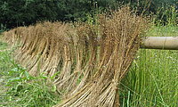 Foto: NABU Naturschutzhof Nettetal